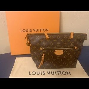 Louis Vuitton Monogram Bag